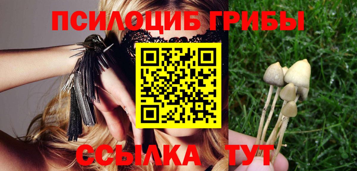 Йошкар-Ола  где купить наркотик  Вход с VPN  Галлюциногенные грибы Magic Shrooms 
